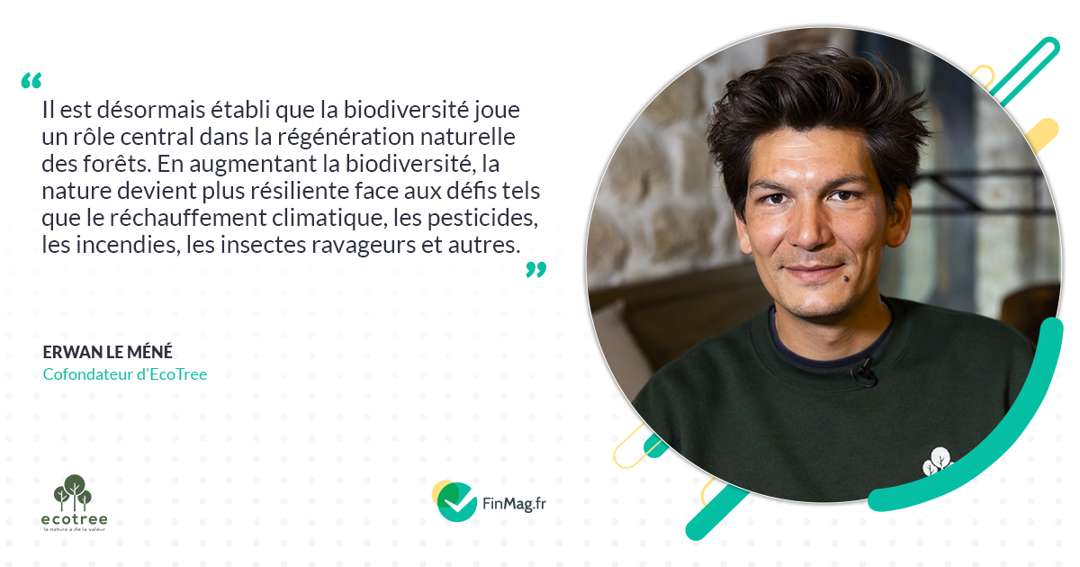 EcoTree 2024&nbsp;: s’investir dans la préservation de la biodiversité française pour un avenir durable