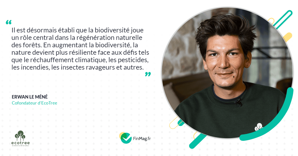 EcoTree 2025&nbsp;: s’investir dans la préservation de la biodiversité française pour un avenir durable