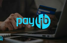Avis Paylib : de solution française à européenne en 2025